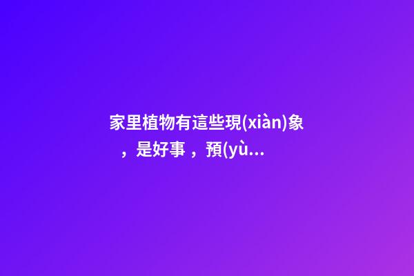家里植物有這些現(xiàn)象，是好事，預(yù)示你家要發(fā)大財(cái)了！